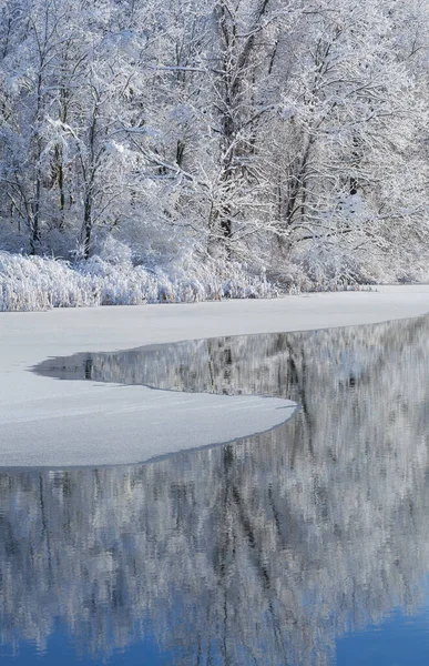 Paisagem Inverno Árvores Cobertas Neve Costa Jackson Hole Lake Com — Fotografia de Stock