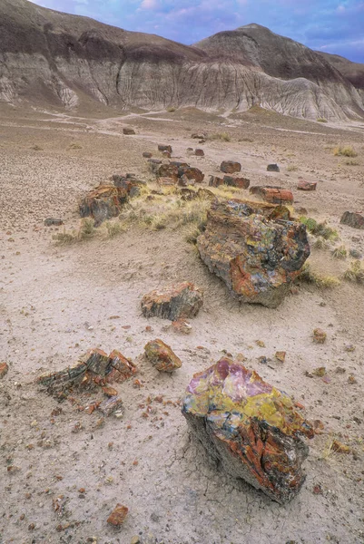 Krajobraz Pustkowia Skamieniałego Drewna Petrified Forest National Park Arizona Usa — Zdjęcie stockowe