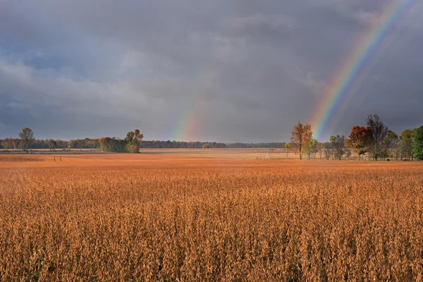 秋天的彩虹在玉米田 — 图库照片