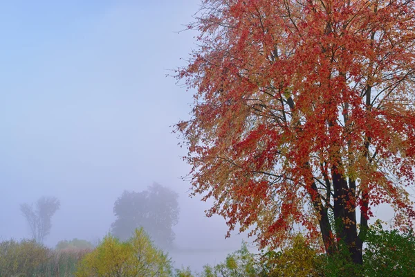 Autumn Jackson Hole Lake — Stock Photo, Image