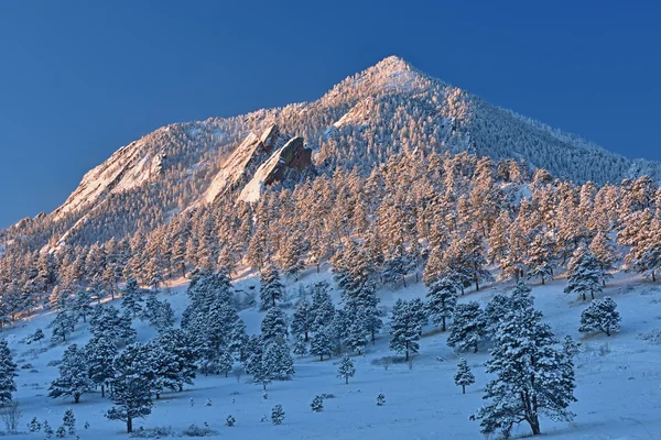 Ayı en yüksek kar akın etti