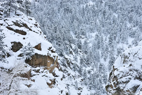 Взимку Боулдер Каньйон — стокове фото