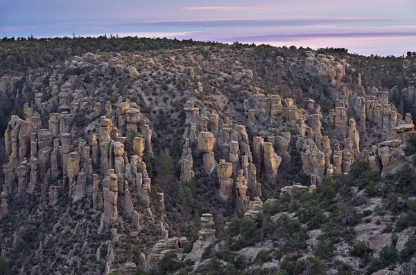 Chiricahua-Nationaldenkmal — Stockfoto