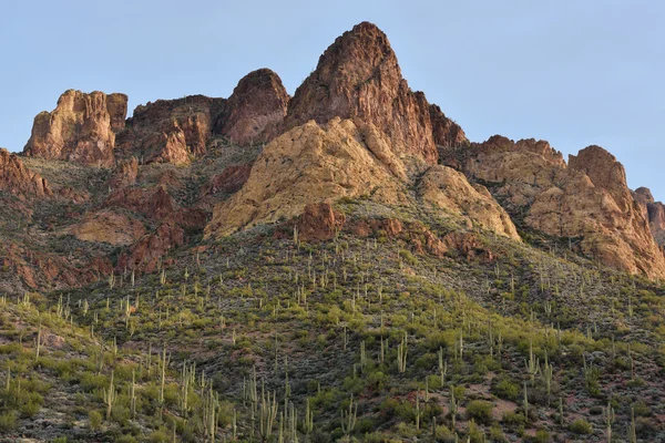 Camino Apache Tonto Bosque Nacional — Foto de Stock