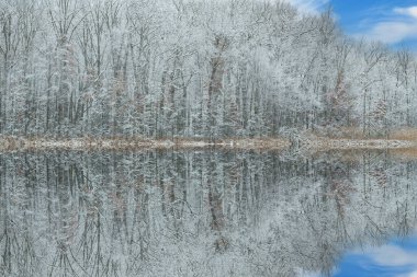 Derin Göl 'ün kış manzarası sakin sularda yansıyan yansımalarla dolup taştı. Yankee Springs State Park, Michigan, ABD