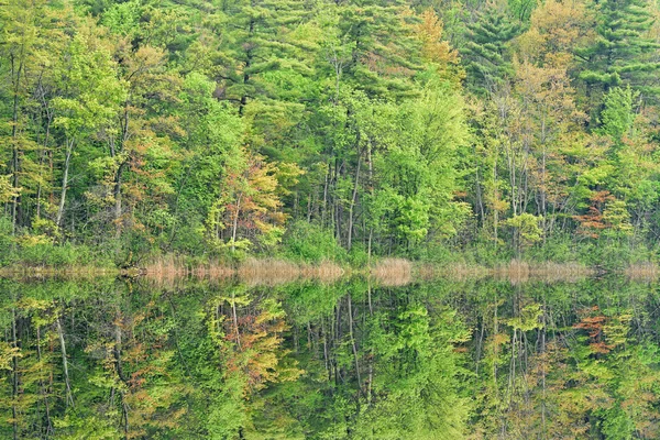 Jaro, dlouhé jezero odrazy — Stock fotografie