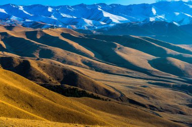 Steppe Kazakhstan, plateau Assy clipart