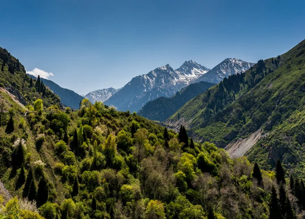 Issyk gorge, Zailiyskiy Alatau, Almaty, Kazakhstan. — Stock Photo, Image