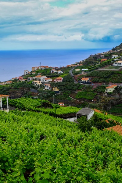 Isola di Madeira, Portogallo, costa centro-meridionale — Foto Stock