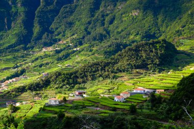 Portekizce çiftçi köyleri ile kırsal manzara