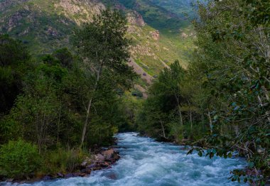 Dağ vadi yeşil ağaçlar ve nehir