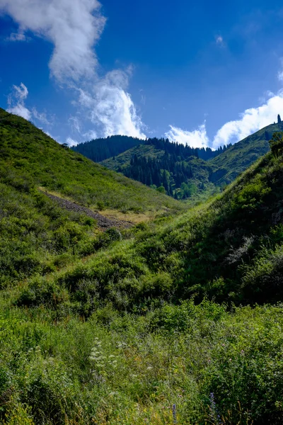 Montañas en Kazajstán, ciudad de Almaty — Foto de Stock