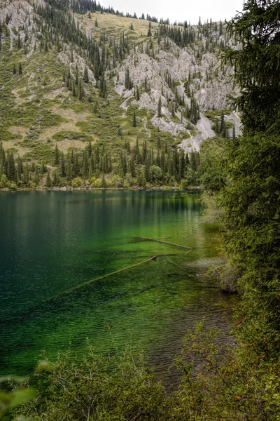 Krásný pohled na vysokohorské jezero — Stock fotografie