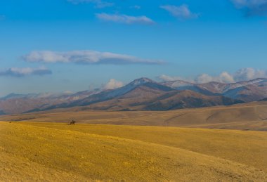 Göçebe yolculuk, Kazakistan, Orta Asya