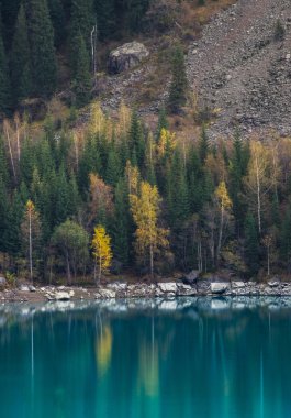 Dağ gölü Issyk Kazakistan Almatı şehrinde 