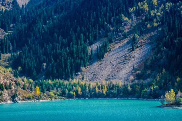 Alp göl Issyk, Kazakistan