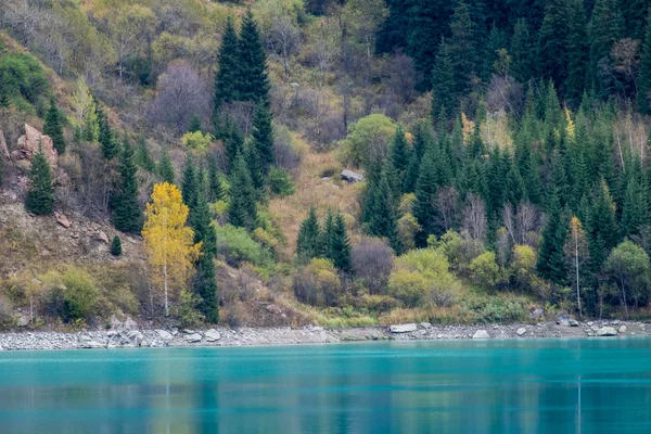 Альпийское озеро Иссык — стоковое фото
