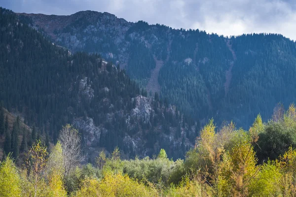 Montañas Tien Shan, Kazajstán cerca de la ciudad de Almaty —  Fotos de Stock