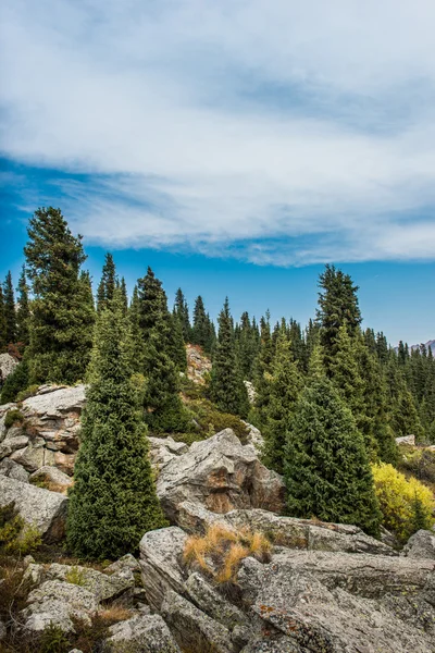 Tian Shan Montanhas : — Fotografia de Stock