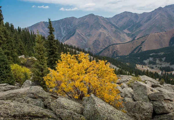 Nature near Big Almaty Lake, Tien Shan Mountains — Stock Photo, Image