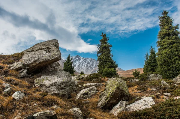 カザフスタンのアルマトイにあるTien Shan山脈 — ストック写真