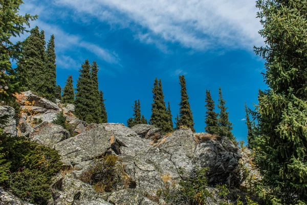 Tanrı Dağları dağlar