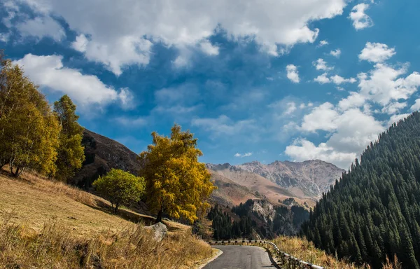 Almaty paisaje de montaña —  Fotos de Stock