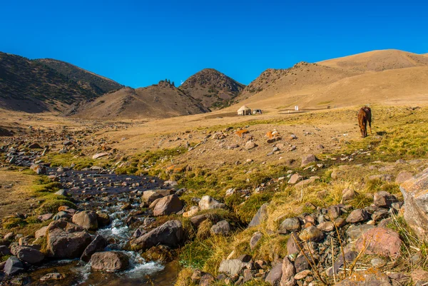 Tien Shan Mountains, Yurt na estrada da seda — Fotografia de Stock