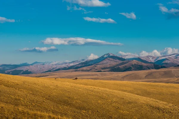 Nomadische reis — Stockfoto