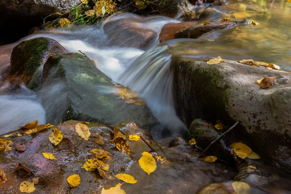 Flusso autunnale — Foto Stock