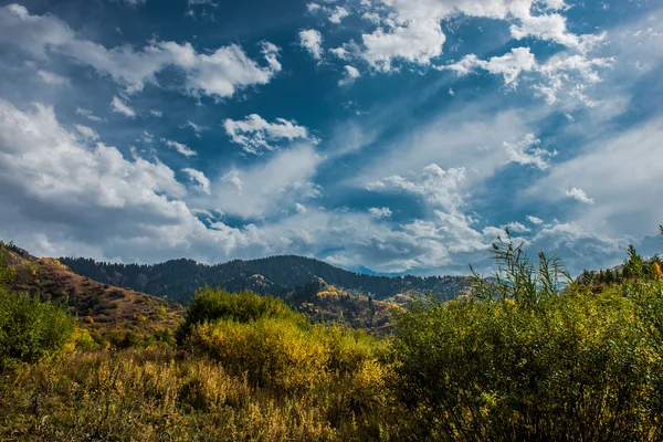 La couleur dans les montagnes — Photo