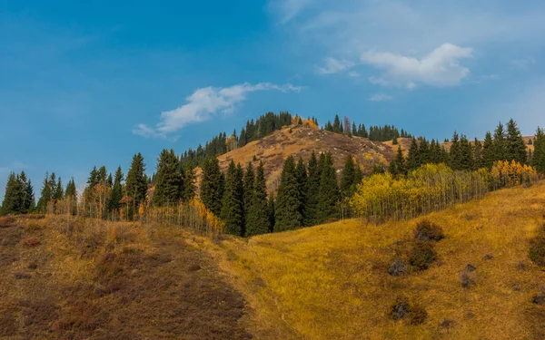 Color in the Mountains — Stock Photo, Image