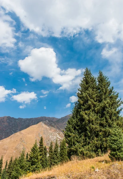 Mountain range — Stock Photo, Image