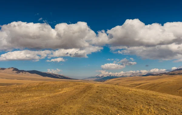 Paisagem tranquila. Estepe Cazaquistão — Fotografia de Stock