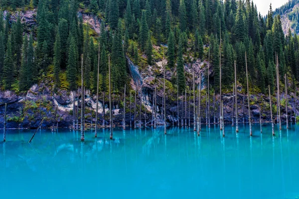 Lago Kaindy en las montañas de Tien-Shan, Kazajstán — Foto de Stock