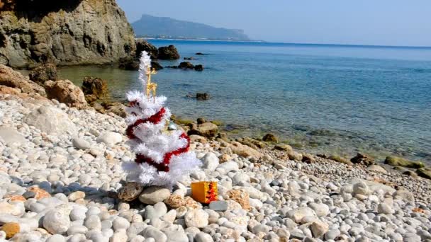 Árbol de Navidad en la playa — Vídeo de stock