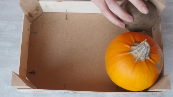Vrouw hand zet groenten en fruit in doos — Stockvideo