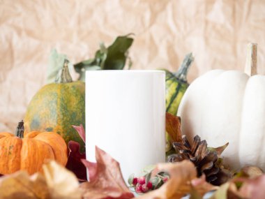 Sonbahar arka planında beyaz çay fincanının yakın çekimi 