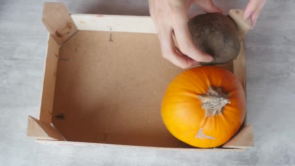 Kvinnlig hand lägger frukt och grönsaker i lådan — Stockvideo