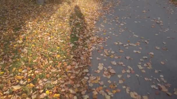 Sombra humana moviéndose en otoño camino con hojas secas — Vídeo de stock