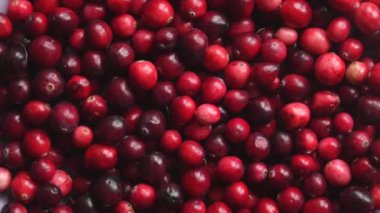 Kırmızı taze kızılcıkların dönüşümlü üst görünümü