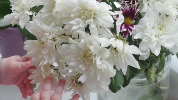 Babyhender som berører blomster i bukett – stockvideo