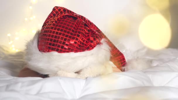 Adorable niña en Santa sombrero acostado en la cama blanca — Vídeo de stock