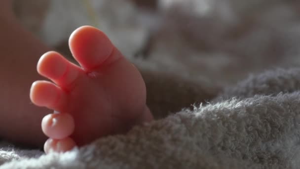 3 meses pés de bebê na toalha — Vídeo de Stock