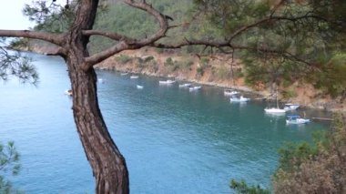 Güzel Adrasan deniz ve dağ manzarası, Türkiye