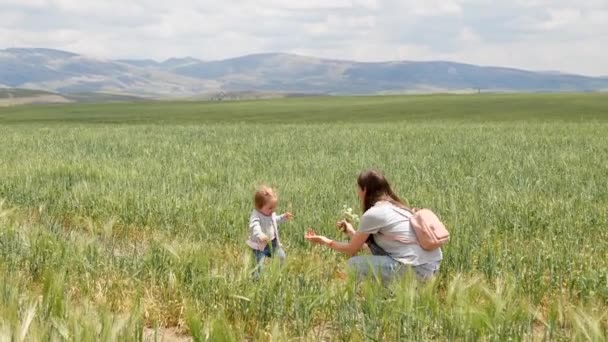 Adorable niña de un año dar los primeros pasos — Vídeo de stock