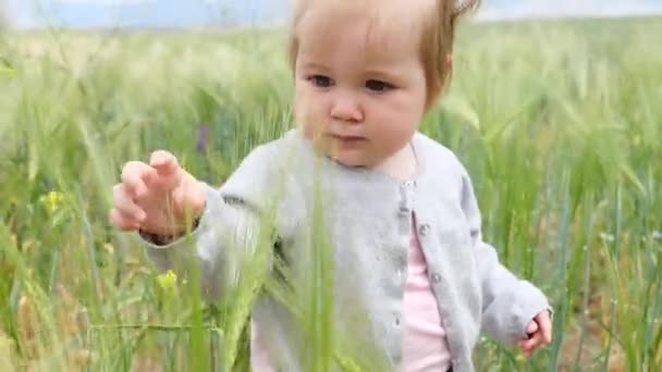 Adorable niña de un año jugando en el campo de trigo — Vídeos de Stock