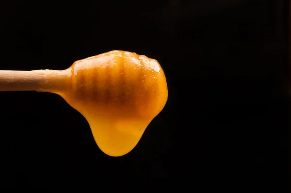Sweet honey — Stock Photo, Image
