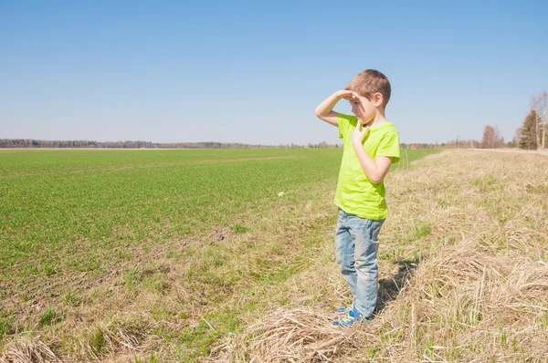 A boy in the field — Stock Photo, Image