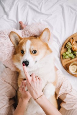 Lezzetli aperatifler ve konforla çevrili bir şekilde evde uzanırken bir Corgi ile nazikçe etkileşim kuran bir insan..